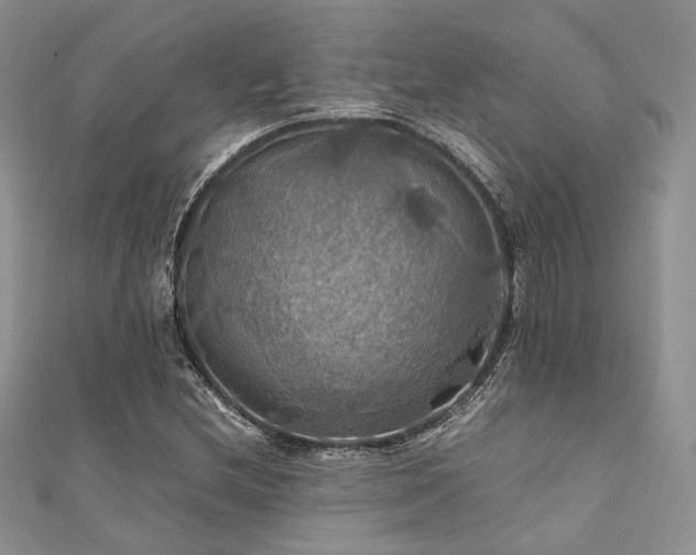 X0000112011212200908031300