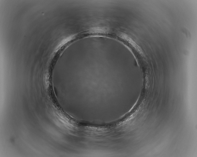 X0000112011213200908031300