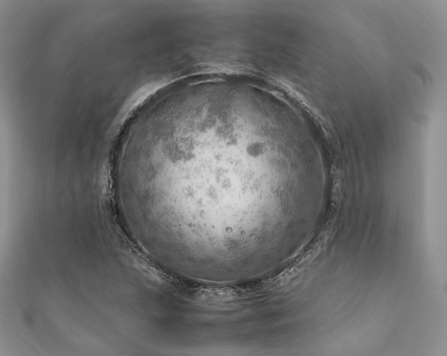 X0000112011215200908031300