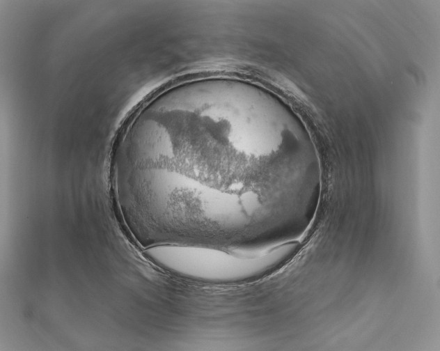 X0000112011216200908031300