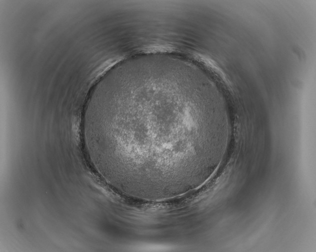 X0000112011217200908031300