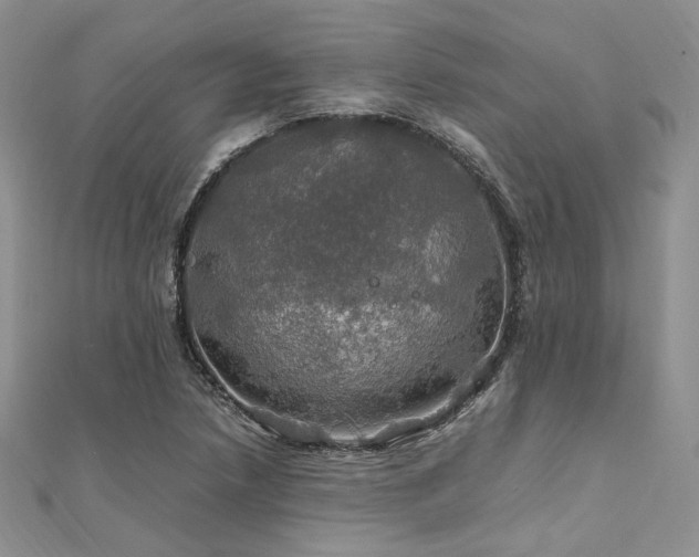 X0000112011218200908031300