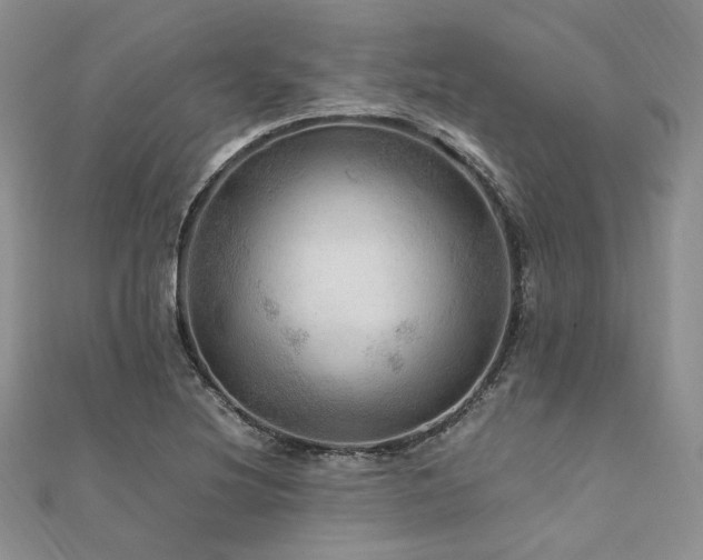 X0000112011220200908031300