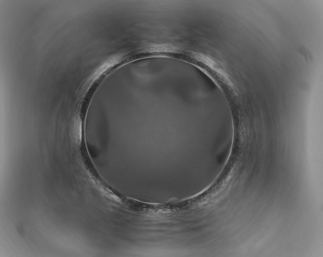 X0000112011221200908031300