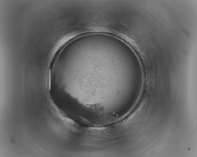 X0000112011223200908031300