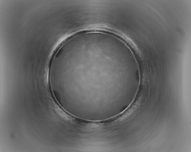 X0000112011224200908031300