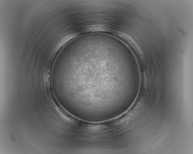 X0000112011225200908031300