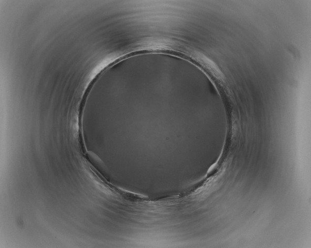 X0000112011226200908031300