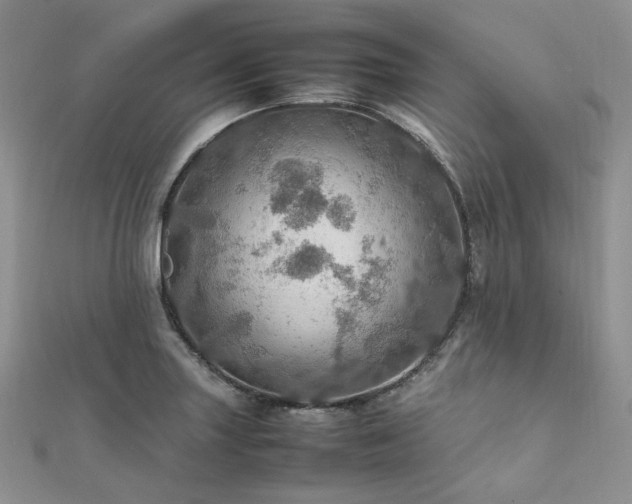 X0000112011227200908031300