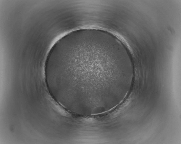 X0000112011230200908031300