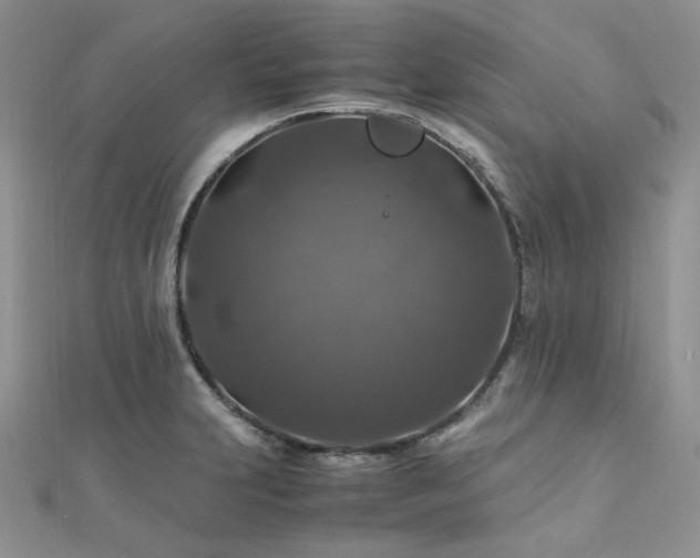 X0000112011231200908031300