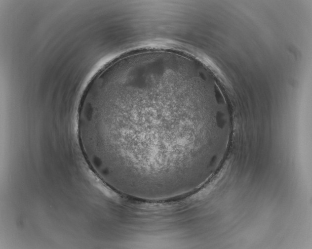 X0000112011232200908031300