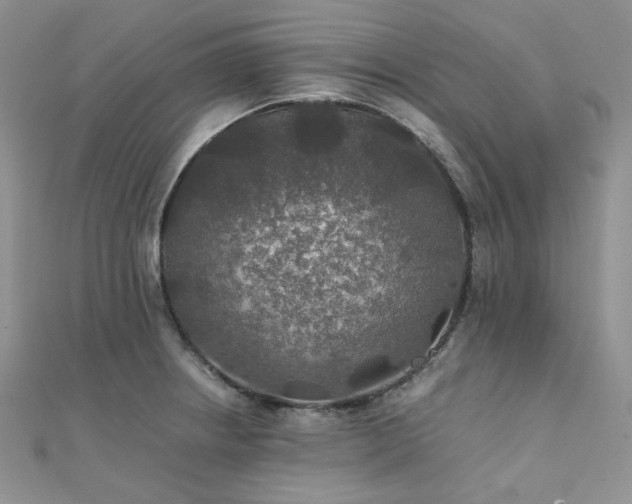 X0000112011234200908031300