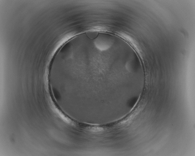 X0000112011235200908031300