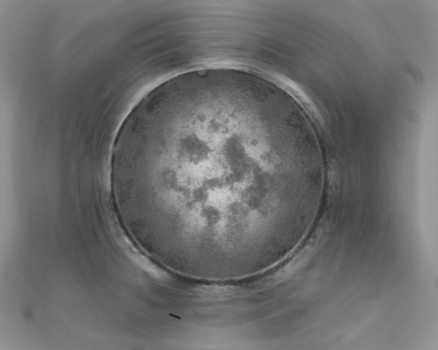 X0000112011236200908031300