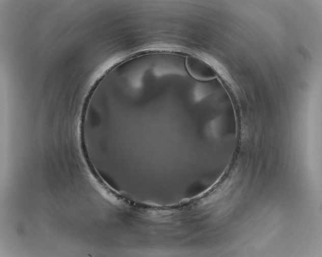 X0000112011237200908031300