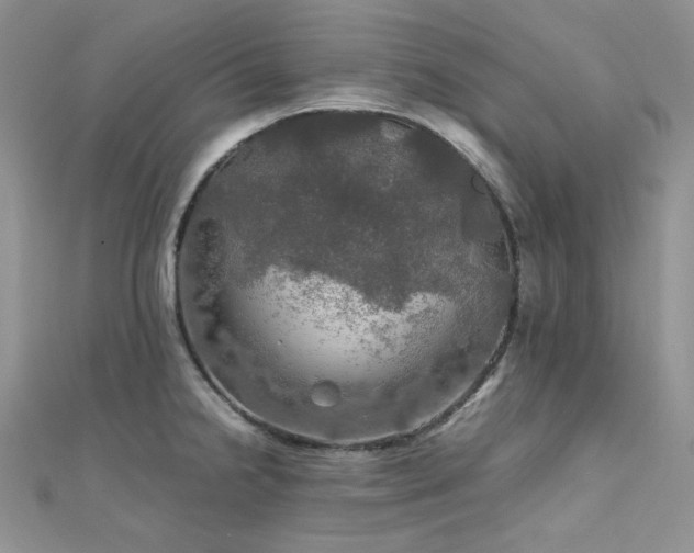 X0000112011238200908031300