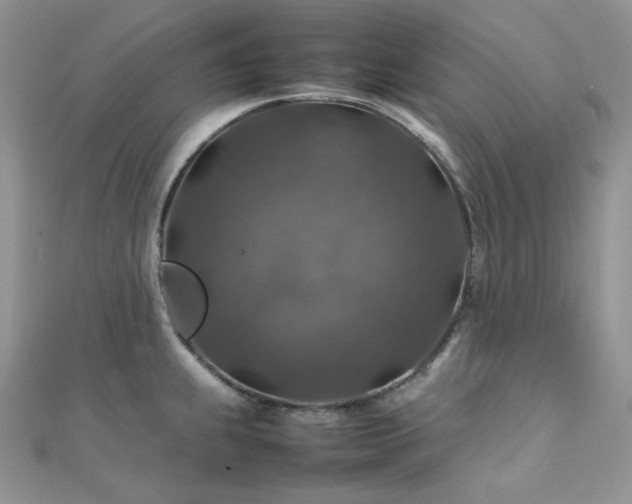 X0000112011239200908031300