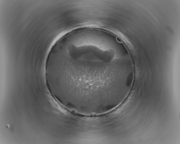 X0000112011240200908031300