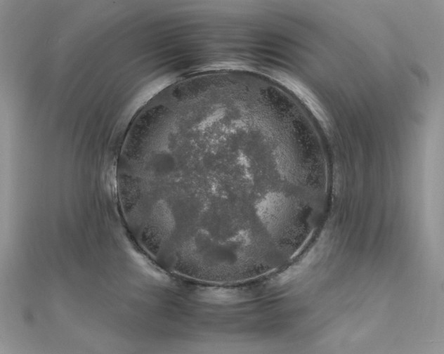 X0000112011241200908031300