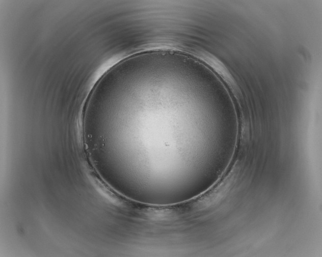 X0000112011242200908031300