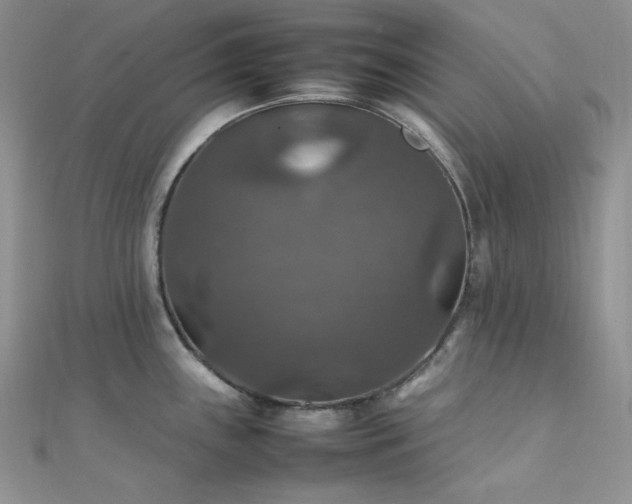 X0000112011243200908031300