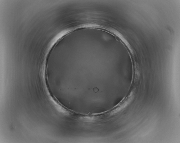 X0000112011245200908031300