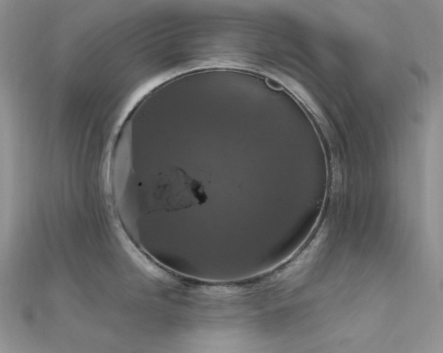 X0000112011246200908031300