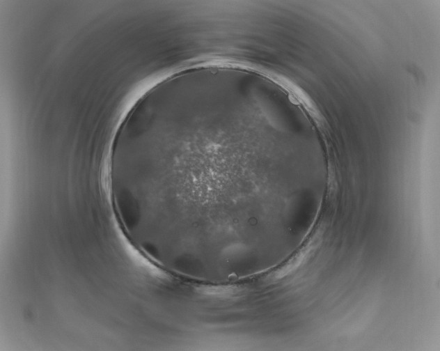 X0000112011247200908031300