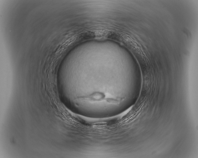 X0000112011249200908031259