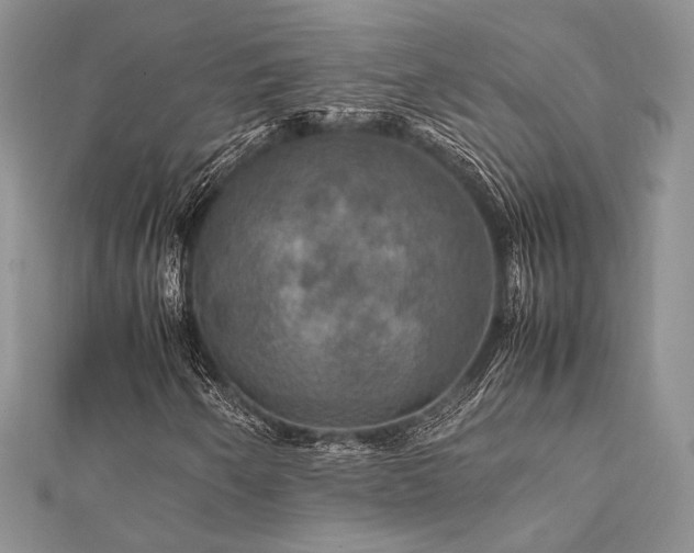 X0000112011250200908031259
