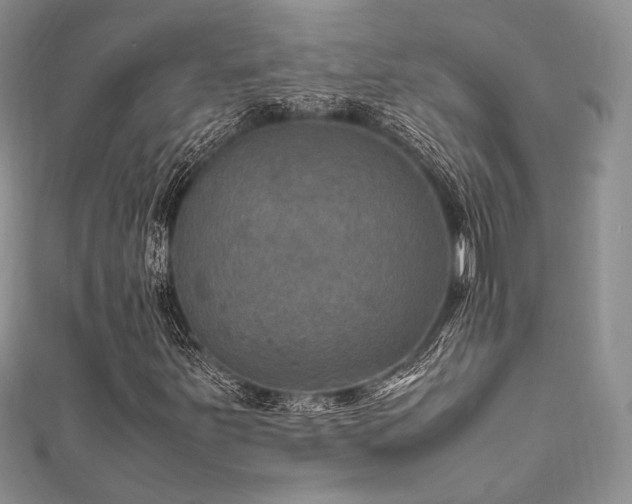 X0000112011251200908031259