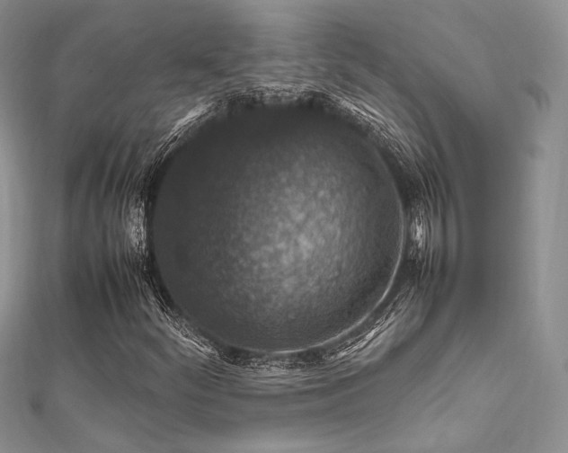X0000112011252200908031259