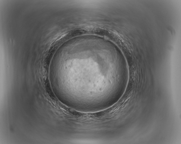 X0000112011253200908031259