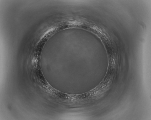 X0000112011254200908031259