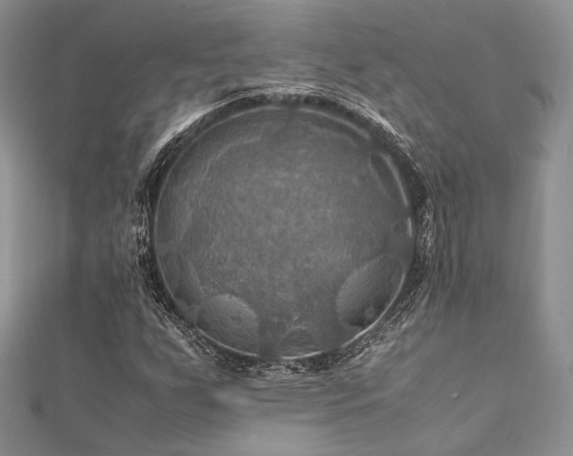 X0000112011255200908031259