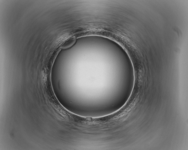 X0000112011257200908031259