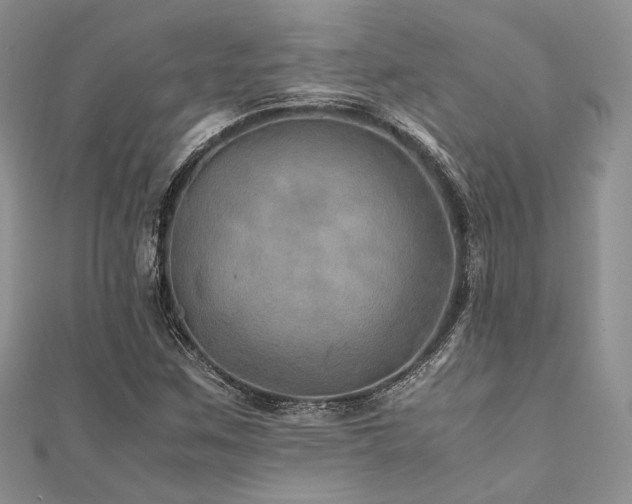 X0000112011259200908031259