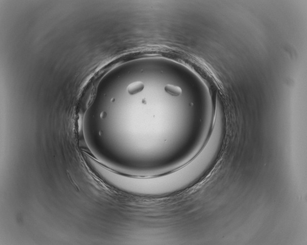 X0000112011260200908031259