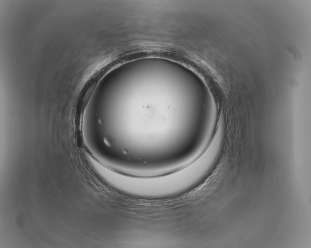 X0000112011261200908031259