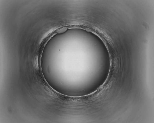 X0000112011262200908031259