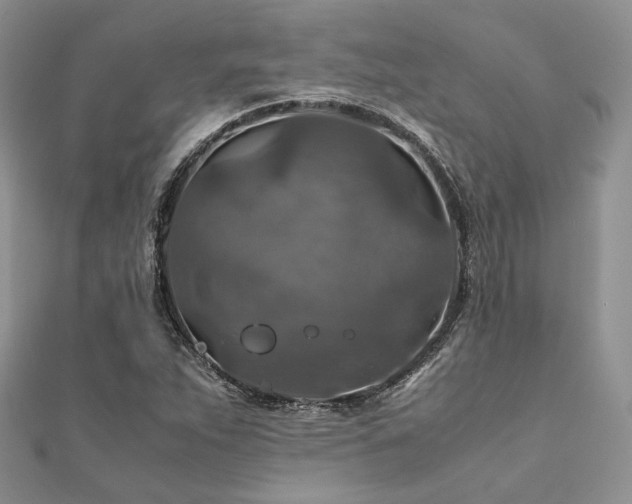 X0000112011263200908031259