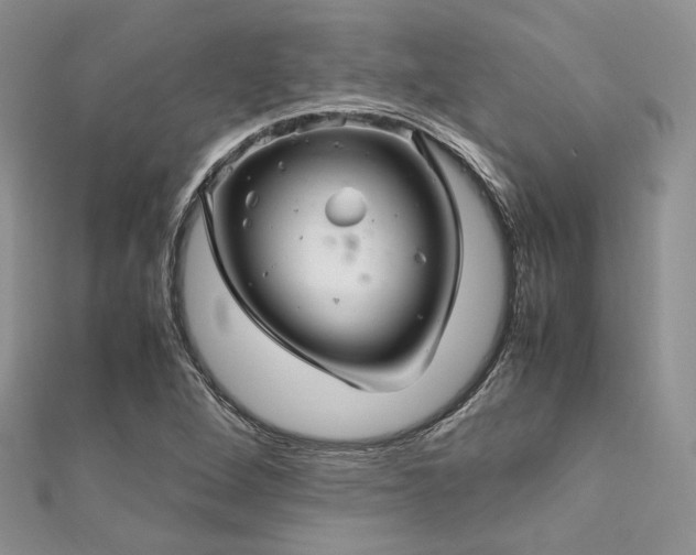 X0000112011264200908031259