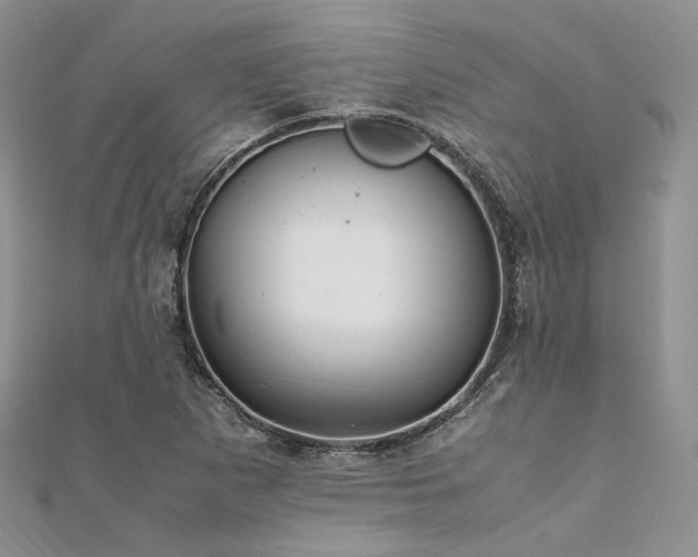 X0000112011265200908031259