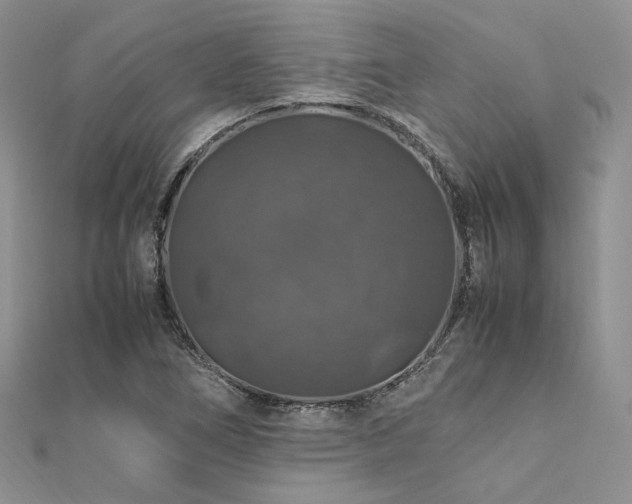X0000112011266200908031259