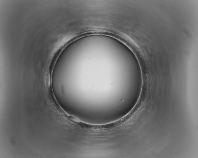 X0000112011269200908031259