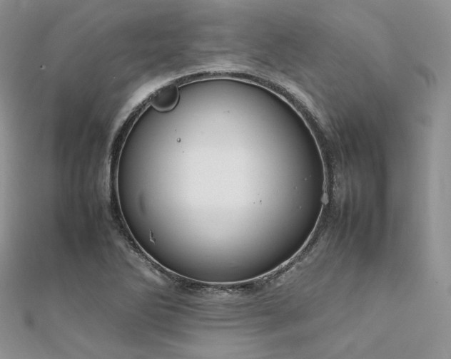 X0000112011270200908031259