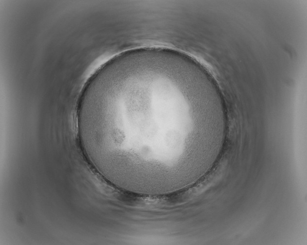 X0000112011271200908031259