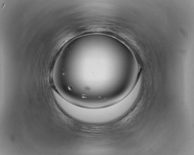 X0000112011273200908031259