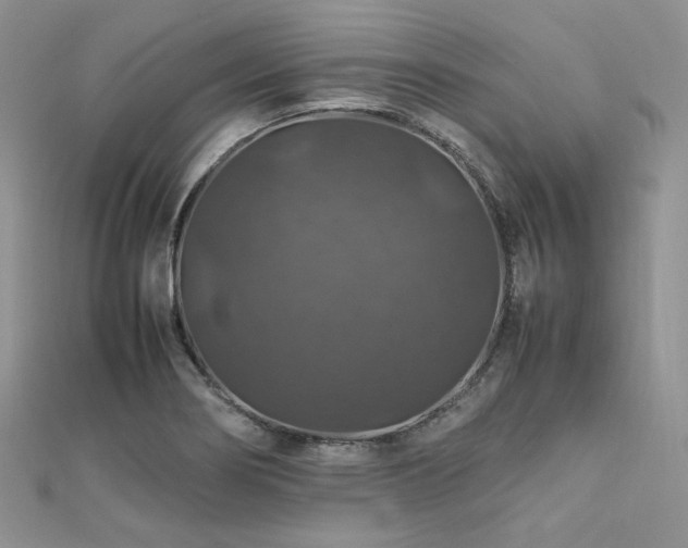 X0000112011274200908031259
